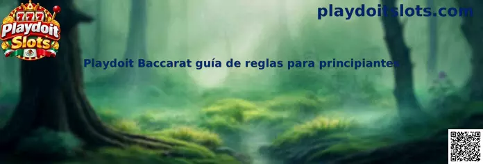 Imagen ilustrativa de la guía de reglas de Playdoit Baccarat para principiantes